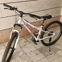 دوچرخه ترینکس سایز 26