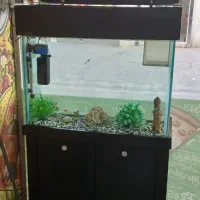 آکواریوم با تمامی وسایل|ماهی|محمدشهر, ولدآباد|دیوار