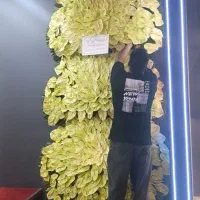 انواع تاج گل مناسب ترین قیمت