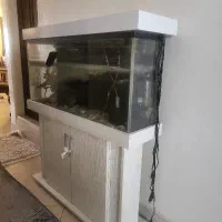 اکواریوم سفید(۱×۳۰×۷۰) فروش فوری