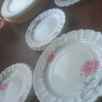 ظروف ارکوپال|ظروف سرو و پذیرایی|مشهد, رضاشهر|دیوار