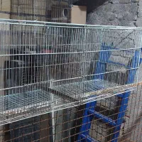 دو عدد قفس|لوازم جانبی حیوانات|یزد, |دیوار