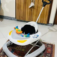 روروئک دلیجان مدل sky