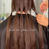 خریدار اصلی مو طبیعی|خدمات آرایشگری و زیبایی|مرودشت, استادیوم|دیوار