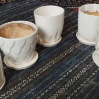 ۵عدد گلدون با سینی زیر|گل و گیاه طبیعی|سیرجان, |دیوار