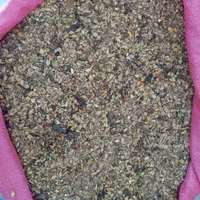 کنسانتره ویژه پرواری