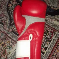 دستکش بوکس و موی تای|تجهیزات ورزشی|گالیکش, |دیوار