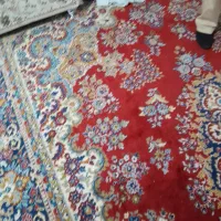 فرش|فرش|شازند, |دیوار