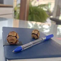 ادمین حرفه‌ای