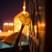 مشهد