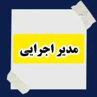 مدیر اجرایی