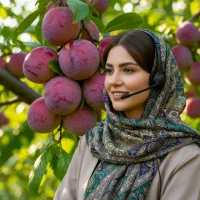 خرید نهال گردو چندلر با تخفیف جشنواره‌ای