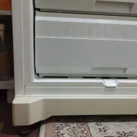 فریزر اگنس ایتالیا