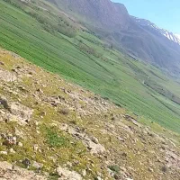 اجاره-خانه-گنبد-کبود