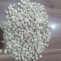 فروش پسته تازه کلی جزئی