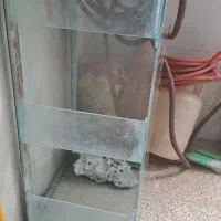 اکواریوم بزرگ وسالم|ماهی|سنندج, |دیوار