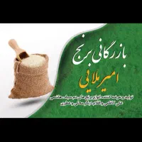 تولید کننده انواع برنج های دم سیاه هاشمی