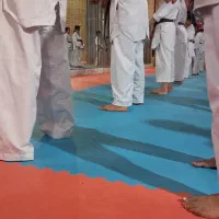 رزمی کاراته و دفاع شخصی بانوان