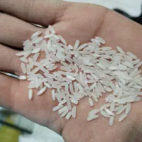 عنبربو،طارم فجر،پاکستانی