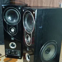 ۲ عدد باند درحدنو