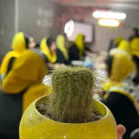 اموزش تتوی چهره و بدن