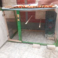قفس کبوتر سالم