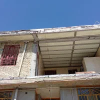 تخریب کار حرفه ای