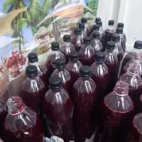 آب زرشک کوهی