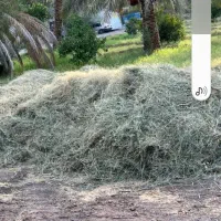 واگذاری چمن بریدن رایگان