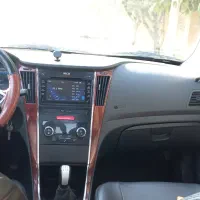 دنا معمولی تیپ 2