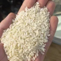 برنج چمپا، خرده برنج نیم دونه، امسال، تازه