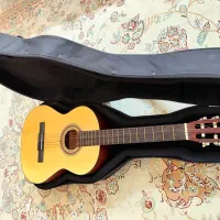 گیتار کلاسیک Parsi