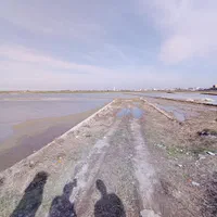 ۶۳۰۰ زمین کشاورزی زیر قیمت نزدیک میدان هزار سنگر|فروش دفتر صنعتی، کشاورزی، تجاری|آمل, |دیوار