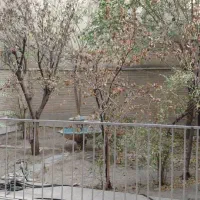 300 متری کلنگی پیامبر شرقی