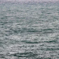 گروه تلگرام دارم قدیمی