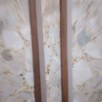 ۳ عدد کناره پرسیانا