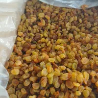 کشمش بدون تیزاب و برنج طارم هاشمی خوش بو