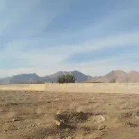 زمین-بلوار-دانشگاه