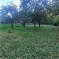 باغ|فروش زمین و ملک کلنگی|کندوان, |دیوار