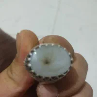 شجر قائن