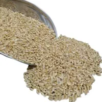 فروش گندم