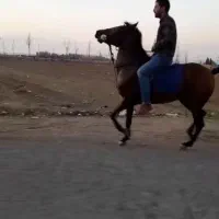 است
