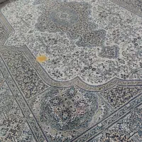 فرش کرم سبز|فرش|کرج, گلشهر|دیوار