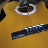 فروش گیتار و ویولون