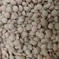 عدس محلی درشت زود پخت اردبیل|خوردنی و آشامیدنی|تهران, شمیراننو|دیوار