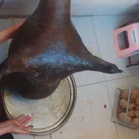 هیزه تمیز نونو خیلی بزرگ