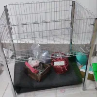 سبد حراجی و پایه رگال و تیله ای