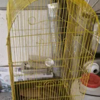 قفس عروس فرنگی کارکرده