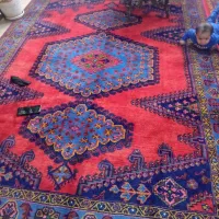 فرش دست بافت ۶متری