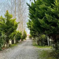 ویلا باغ 670متر/ مشجر و دلباز/ عرصه عیان/نعمت آباد|فروش خانه و ویلا|چمستان, |دیوار